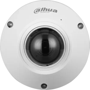 Dahua IPC-EB5541-AS 5MP fisheye camera with 360° monitoring